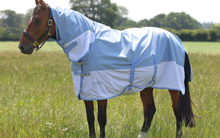 Best waterproof fly rugs for horses: a buyer's guide for UK riders| Online For Equine