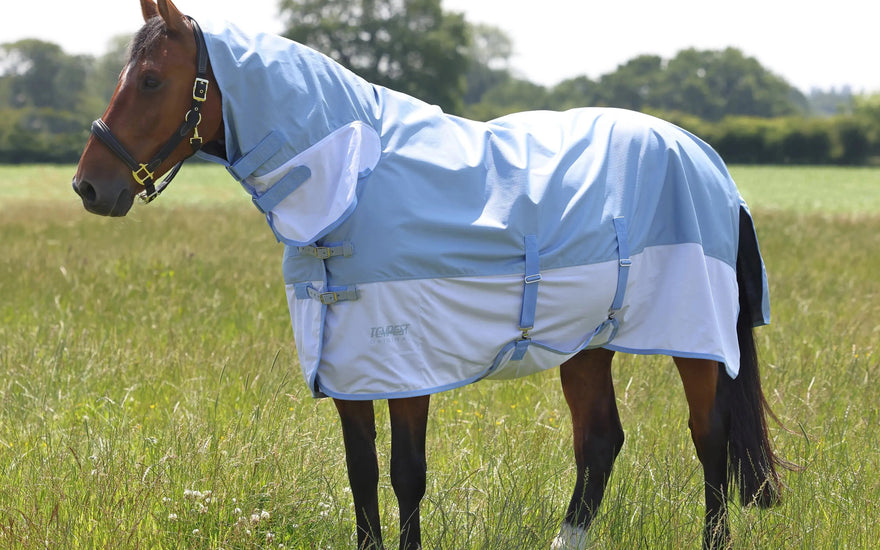 Best waterproof fly rugs for horses: a buyer's guide for UK riders| Online For Equine