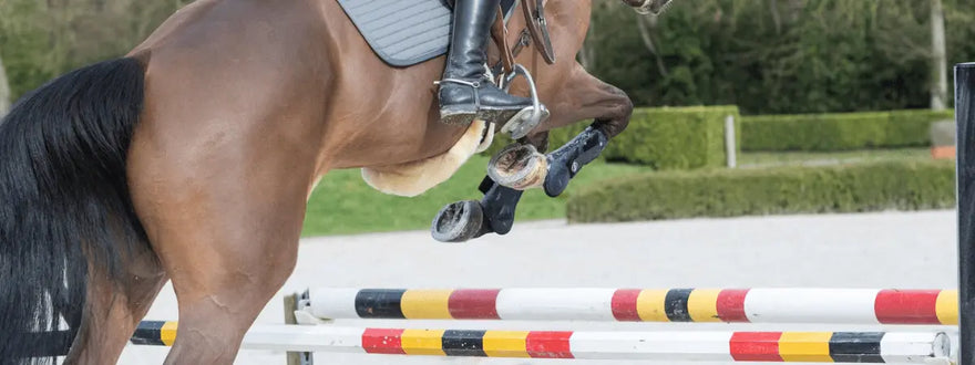 Show-Jumping-Dress-Code| Online For Equine