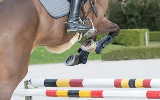 Show-Jumping-Dress-Code| Online For Equine