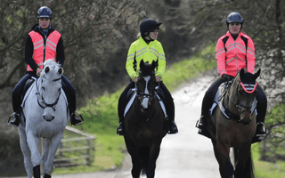 Winter Fitness Ideas For Your Horse