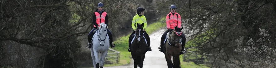 Winter-Fitness-Ideas-For-Your-Horse| Online For Equine
