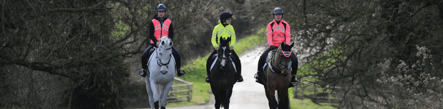 Winter Fitness Ideas For Your Horse