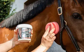 Your-Essential-Guide-to-Leovet-Horse-Care-Products| Online For Equine