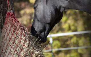 The 3 C’s of Horses’ Droppings
