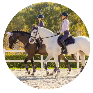 LeMieux-New-Season-Collection-AW25| Online For Equine