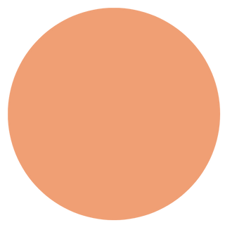 LeMieux Apricot Collection