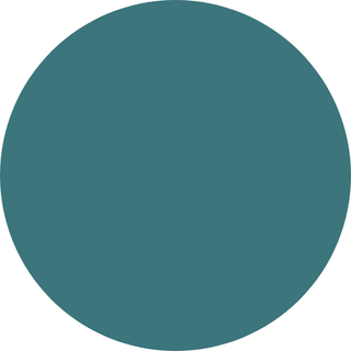 LeMieux-Jungle-Collection| Online For Equine