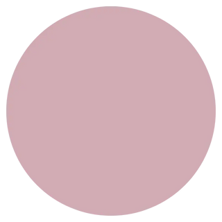 LeMieux-Blossom-Colour-Collection| Online For Equine