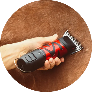 Liveryman-Horse-Clippers| Online For Equine