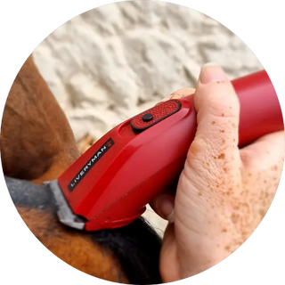 Liveryman-Horse-Trimmers| Online For Equine