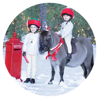 Novelty-Gifts| Online For Equine