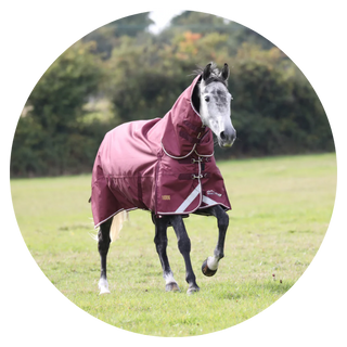 100G Turnout Rug