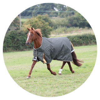 50G Turnout Rugs