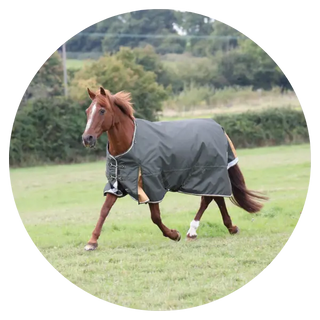 50G-Turnout-Rugs| Online For Equine