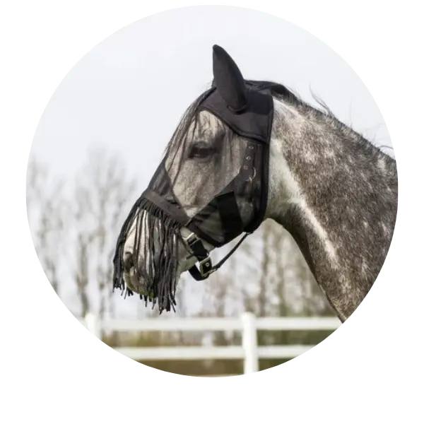Fly-Masks-Under-20| Online For Equine
