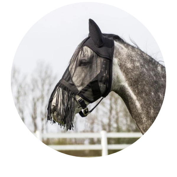 Fly Masks Under £20