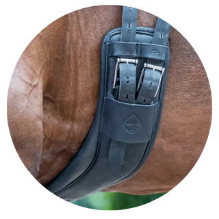 Anatomical-Girths| Online For Equine