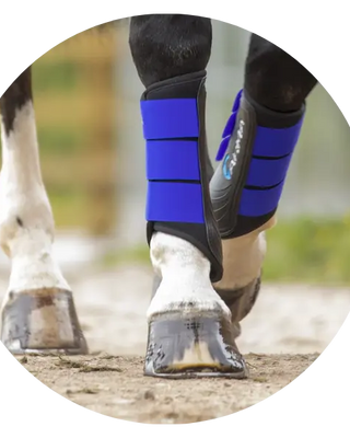 ARMA-Horse-Boots-Bandages| Online For Equine
