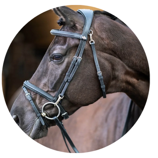 Bridlework