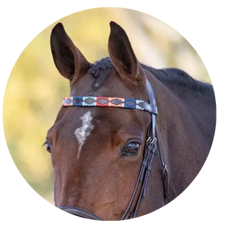 Browbands