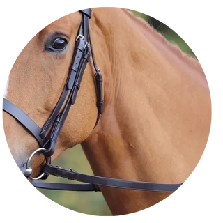 Bridle Head Pieces & Cheek Pieces