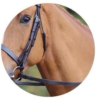 Bridle-Head-Pieces-Cheek-Pieces| Online For Equine
