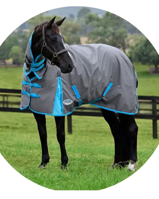 Weatherbeeta ComFiTec Classic Horse Rugs