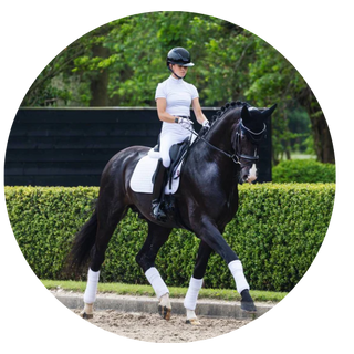 Competition Saddle Pads