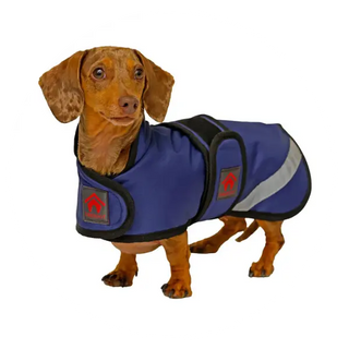 Dachshund-Dog-Coats| Online For Equine