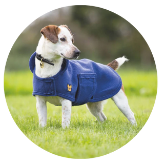Dog Drying Coats