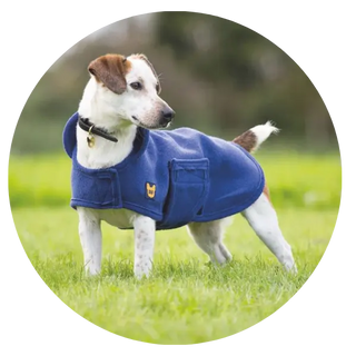 Dog-Drying-Coats| Online For Equine