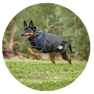 Dog-Coats| Online For Equine