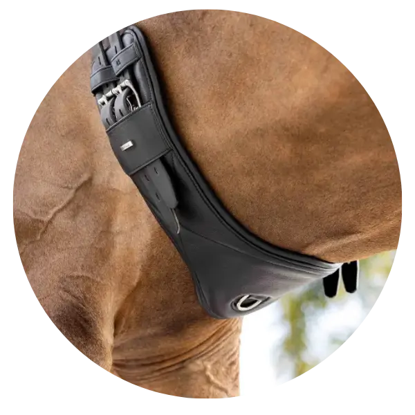 Dressage-Girths| Online For Equine
