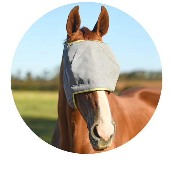 Earless Fly Masks