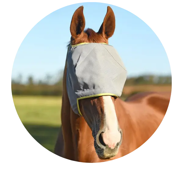 Earless-Fly-Masks| Online For Equine