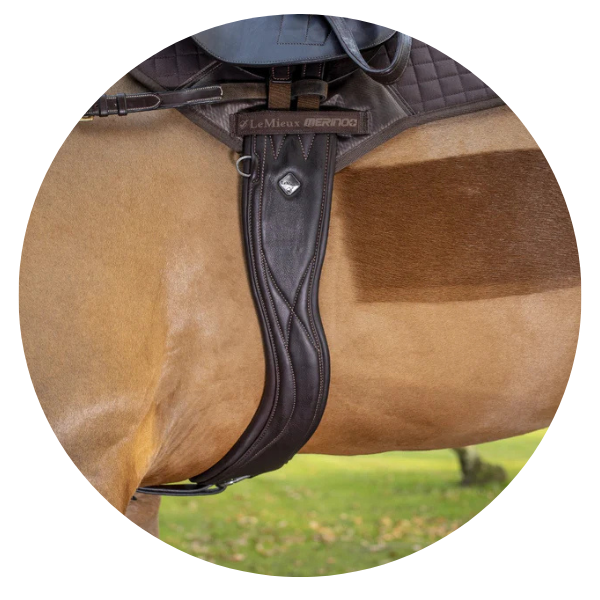 Elasticated Girths