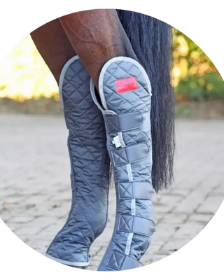 Equilibrium-Magnetic| Online For Equine