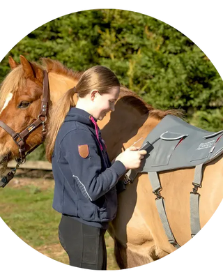 Equilibrium-Massage| Online For Equine