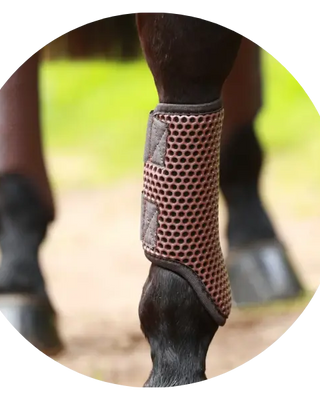 Equilibrium-Tri-Zone-Boots| Online For Equine
