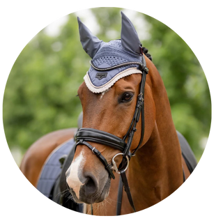 Fly Hoods