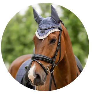 Fly-Hoods| Online For Equine