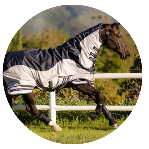 Fly Rugs for Horses | Lightweight & Waterproof Fly Sheets UK | Online ...