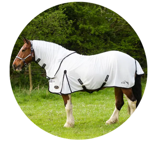 Fly-Rugs-Under-50| Online For Equine