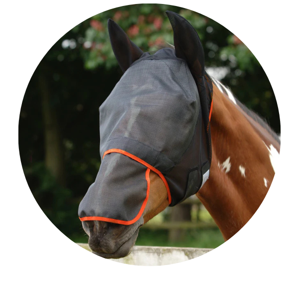 Fly Mask with Nose