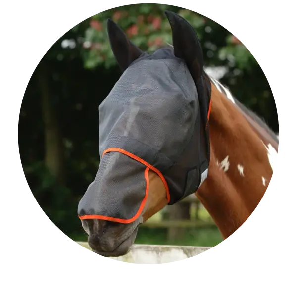 Fly-Mask-with-Nose| Online For Equine