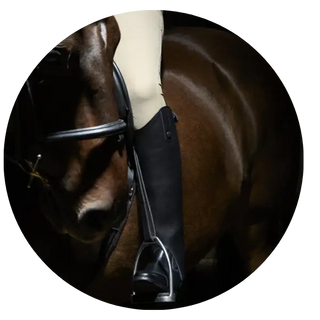 Gaiters| Online For Equine