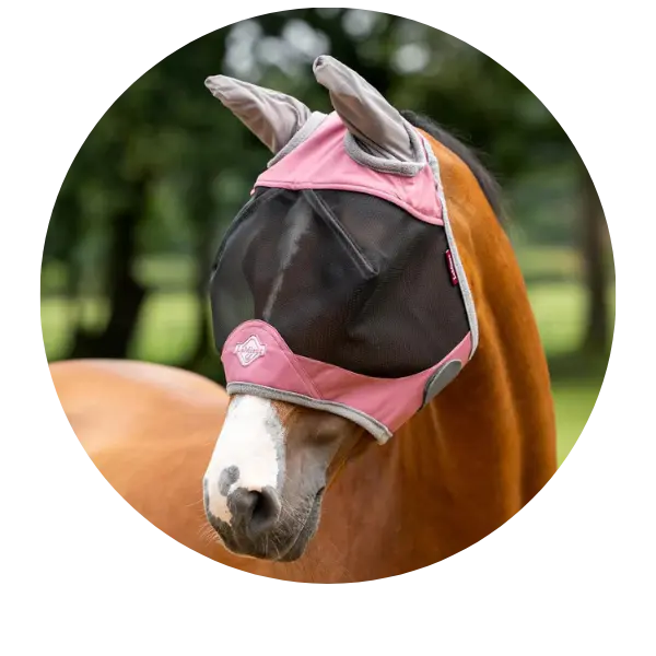 Half-Face-Fly-Masks| Online For Equine