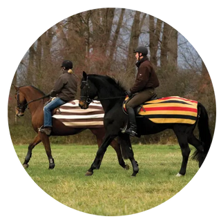 Horse-Exercise-Sheets| Online For Equine