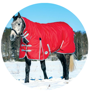 Horse Rug Sale